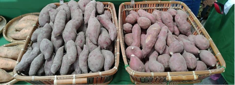 臺北花博農民市集  推出叫好又座的雲林縣農特產品展售活動