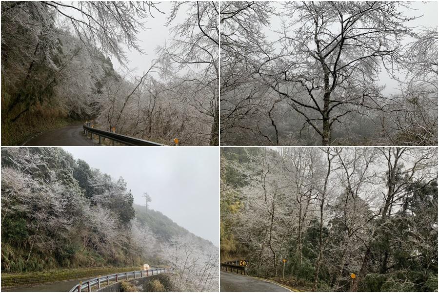 2/20太平山遊樂區零下低溫  結冰未下雪