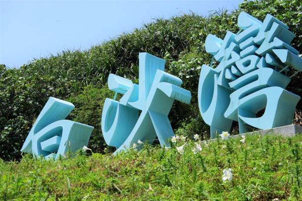 野百合在北海岸綻放 跟著北觀處的導覽地圖把美照拍起來