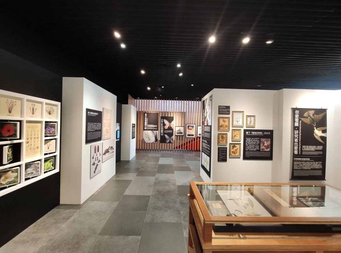 臺南市立圖書館新總館繁盛開展
