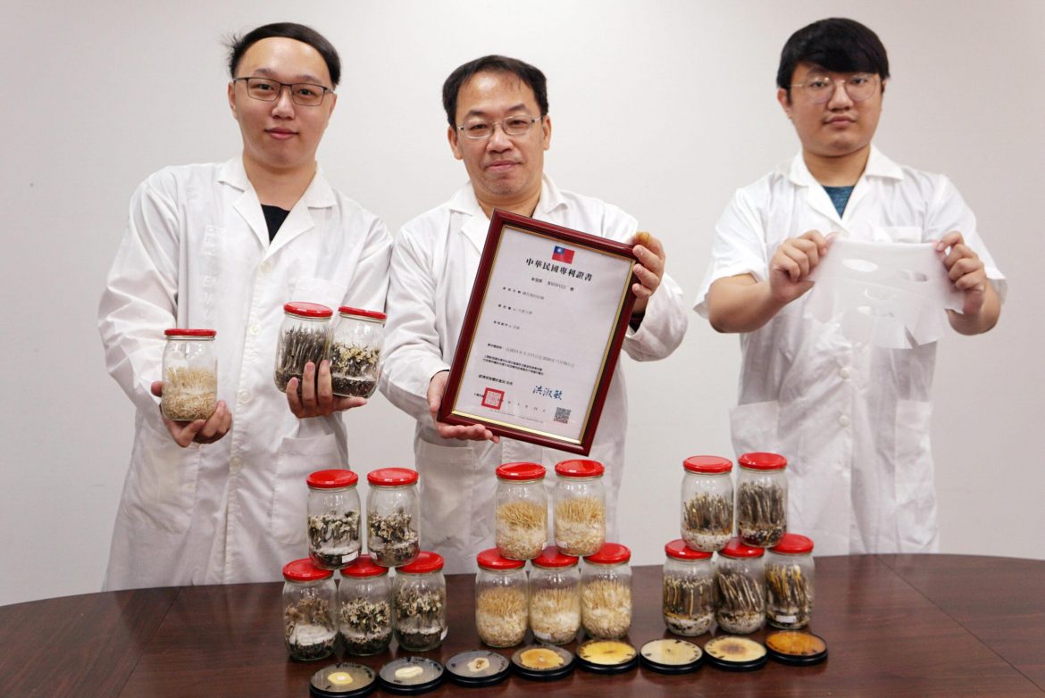 台灣首位人工培育蟬花　大葉大學吳建一研究成果獲專利