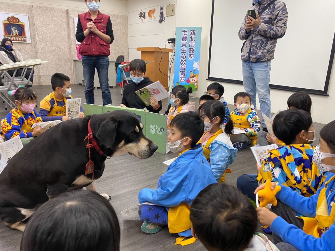 世界流浪動物日 新北動保處教導孩童友善動物