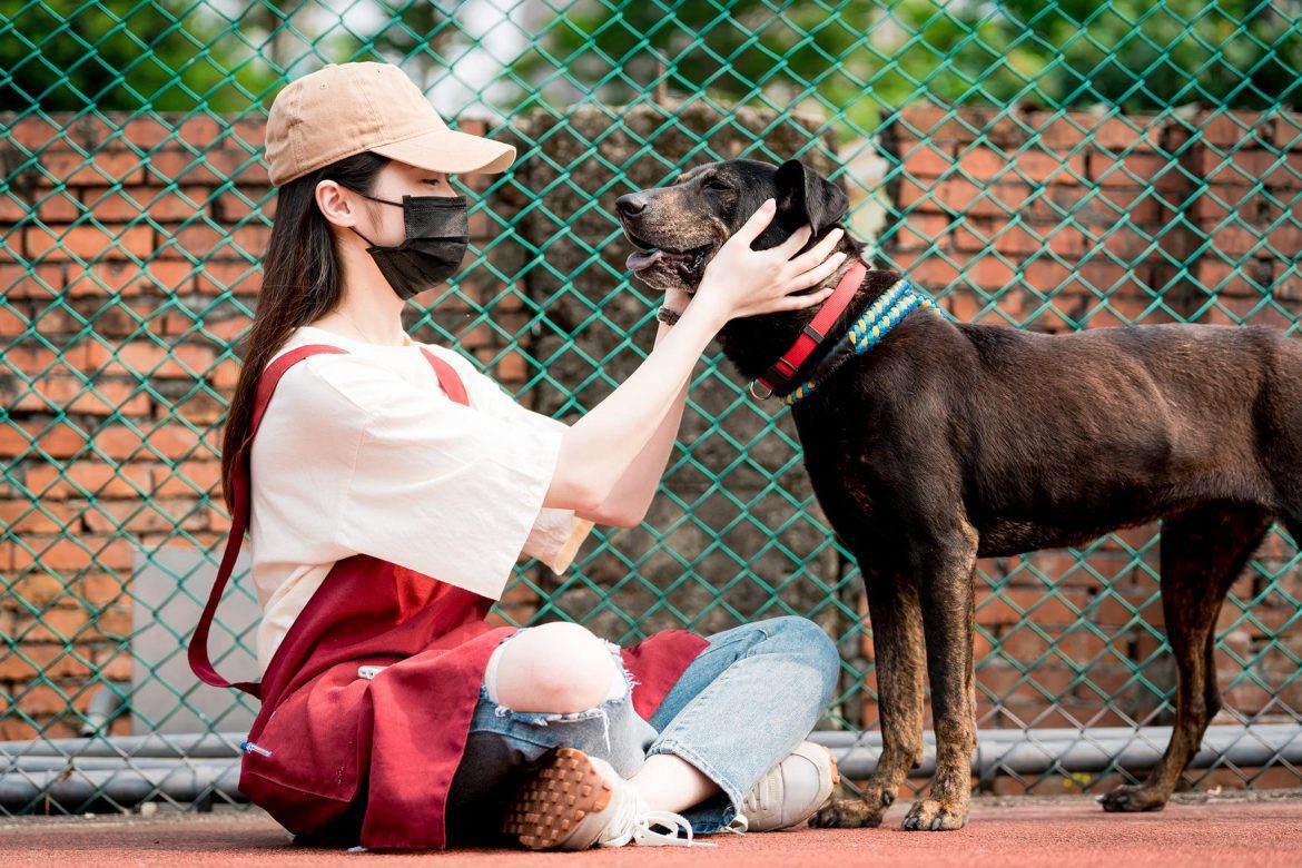 黑色情人節不當單身狗，動物之家黑色米克斯等你帶他回家