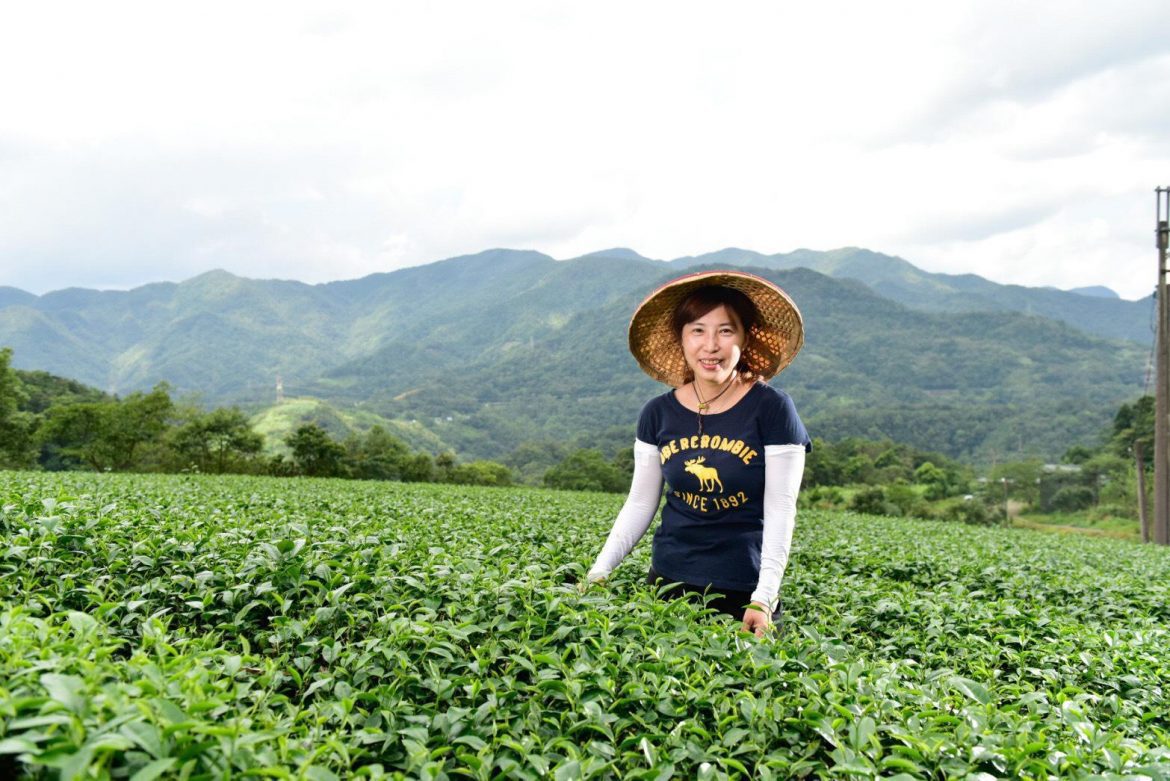 新北農村女力發威　東成茶葉轉型幕後的推手