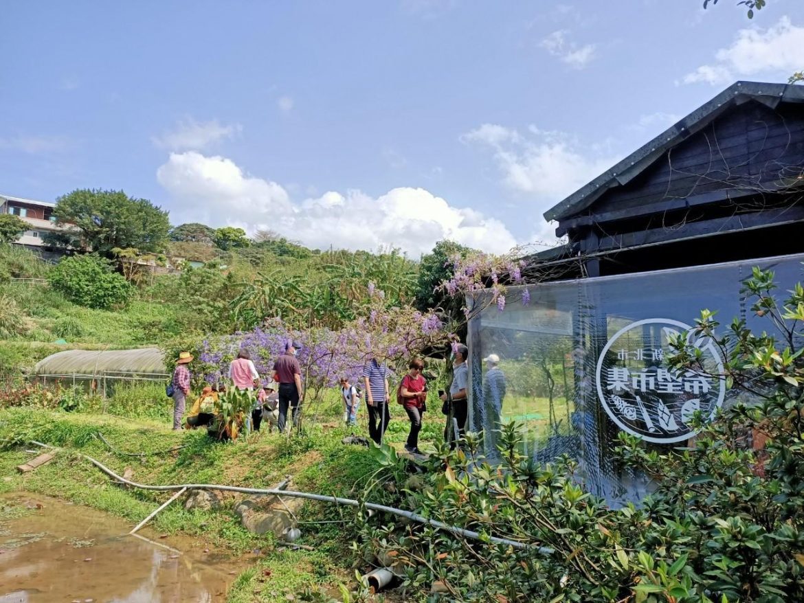 田中央的希望市集 農村社區市集現採新鮮又健康