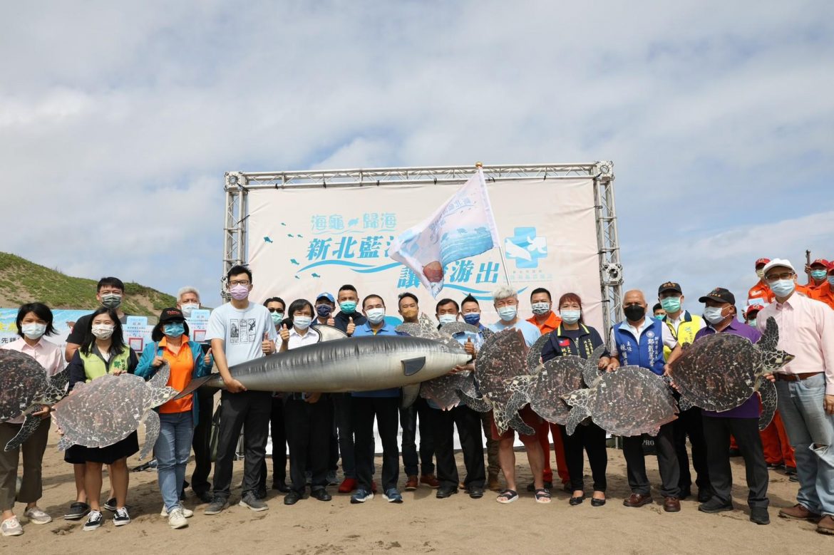 海龜歸海  新北藍海先鋒隊讓愛游出