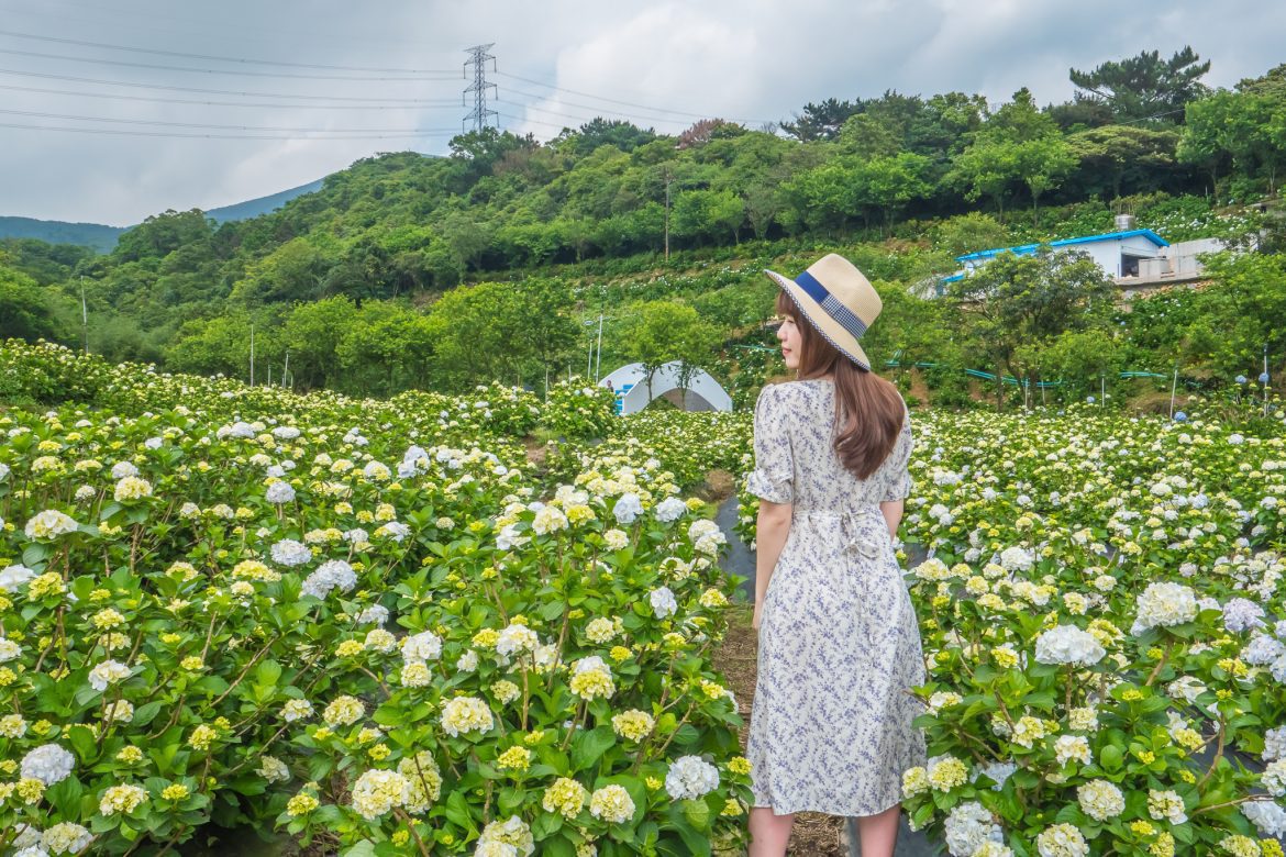 母親節之旅 賞花看海泡湯ㄟ青春