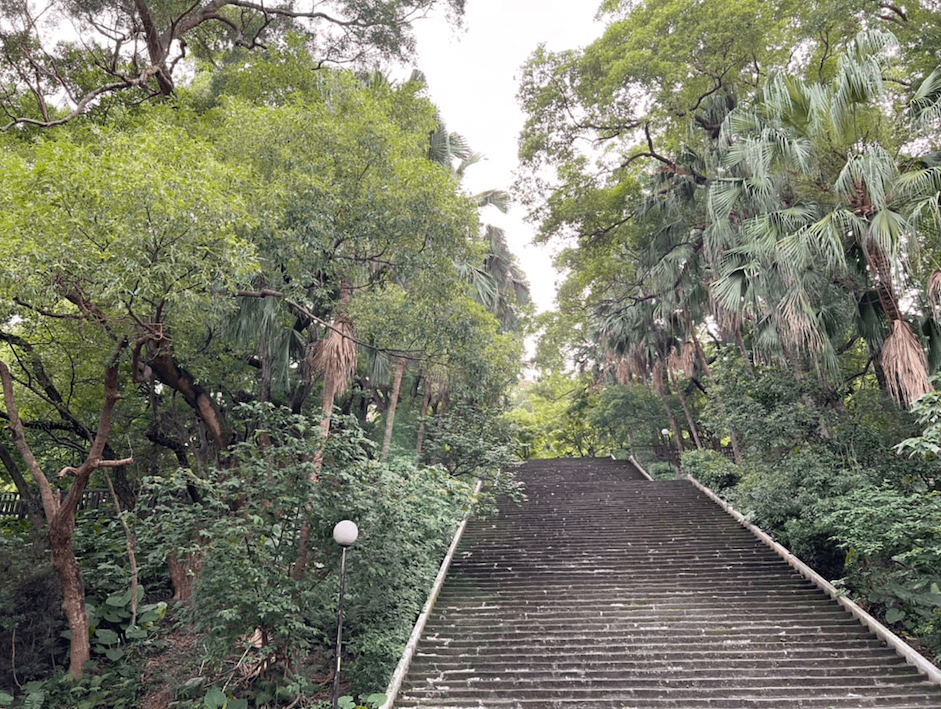 泰山辭修公園之森林秘境大探險-我是攀爬小泰山