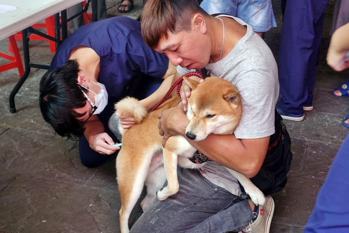 嘉義市犬貓狂犬病疫苗免費注射  5月30日開打