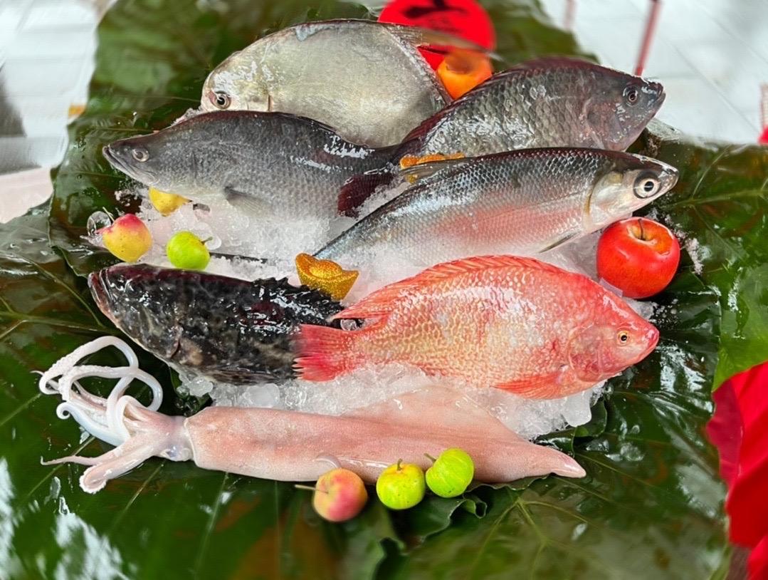 寶島鱻魚端午好食力  佳節自「煮」最安心