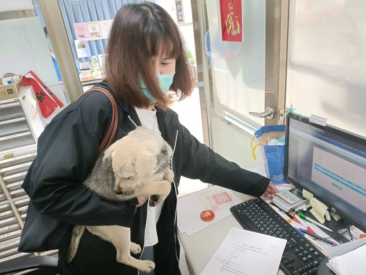 新北動保處推出免接觸防疫繳費服務