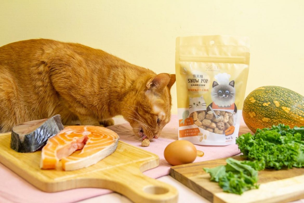 鏟屎官看過來！生態友善貓食品牌推凍乾主食餐 獨家蠶蛹技術便便不臭了
