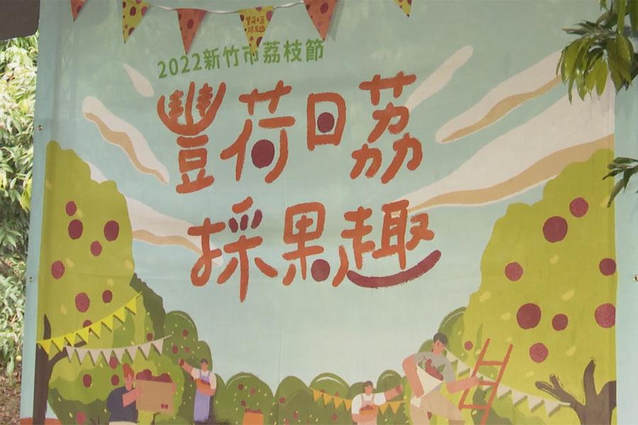 新竹荔枝節開放採果  今年產量只有2-3成