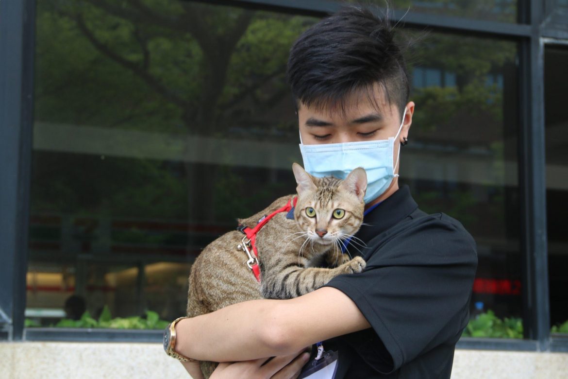 弘光舉辦國際寵物研討會　疫情期間一年以下新飼主增加佔19.6%