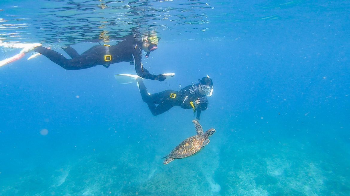 為小琉球海龜命名 金曲製作人吳金黛  新MV呈現臺灣最美海洋生態