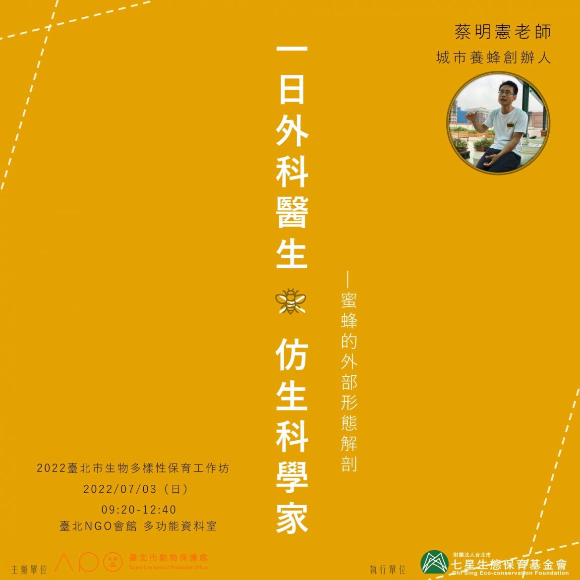 「生物多樣性就在你身邊」臺北市動保處推廣免費工作坊活動，6月10日開放報名！