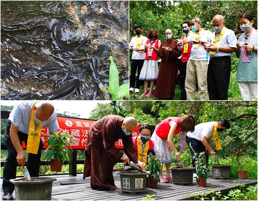 寂光寺法會&育苗放流　龍潭湖畔法喜充滿