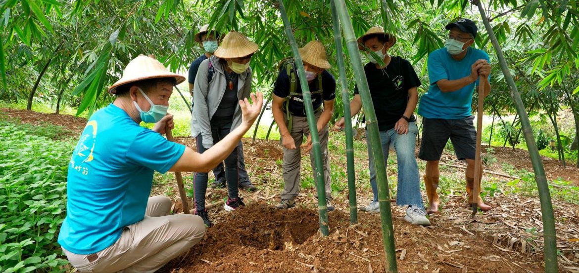 新北竹筍季來囉!來五股綠竹社區食農採筍、品嘗創意竹筍料理