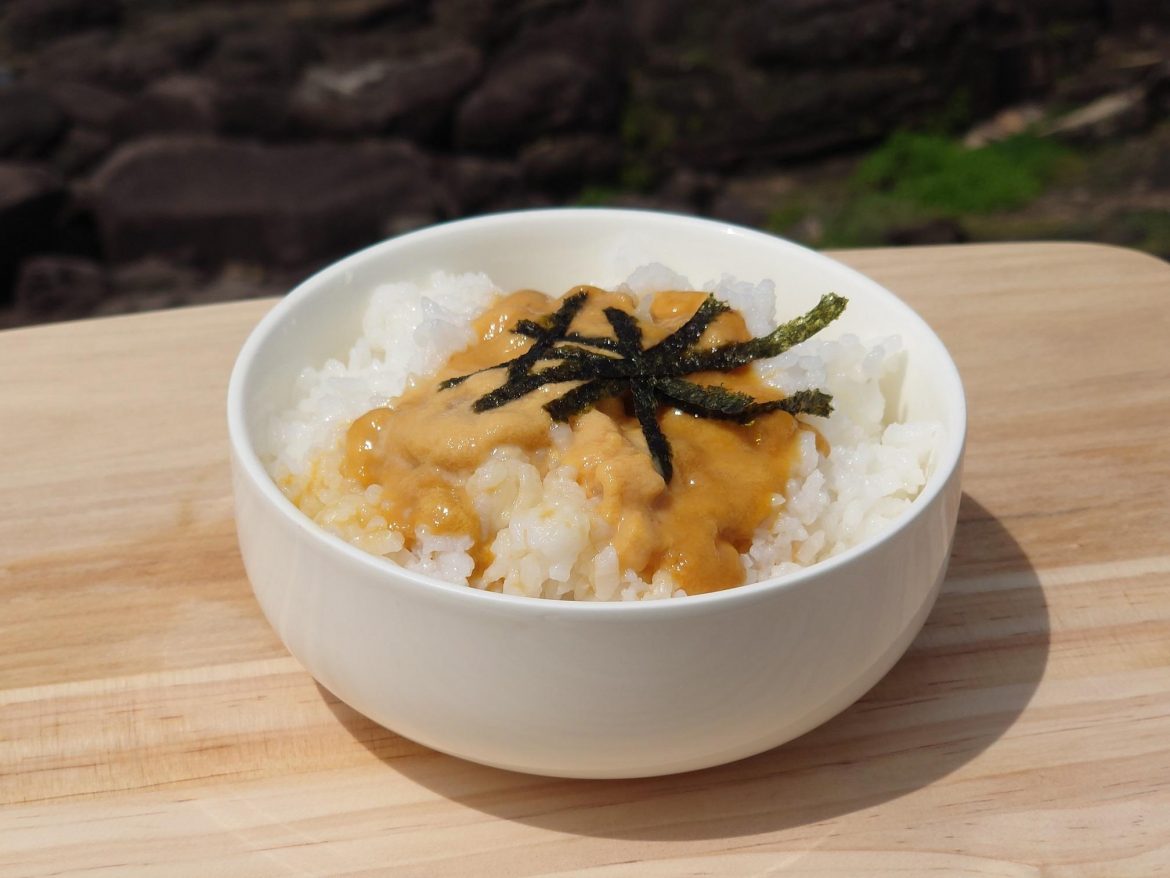 東北角夏季限定珍饌美味-貢寮鮑池養殖紫海膽