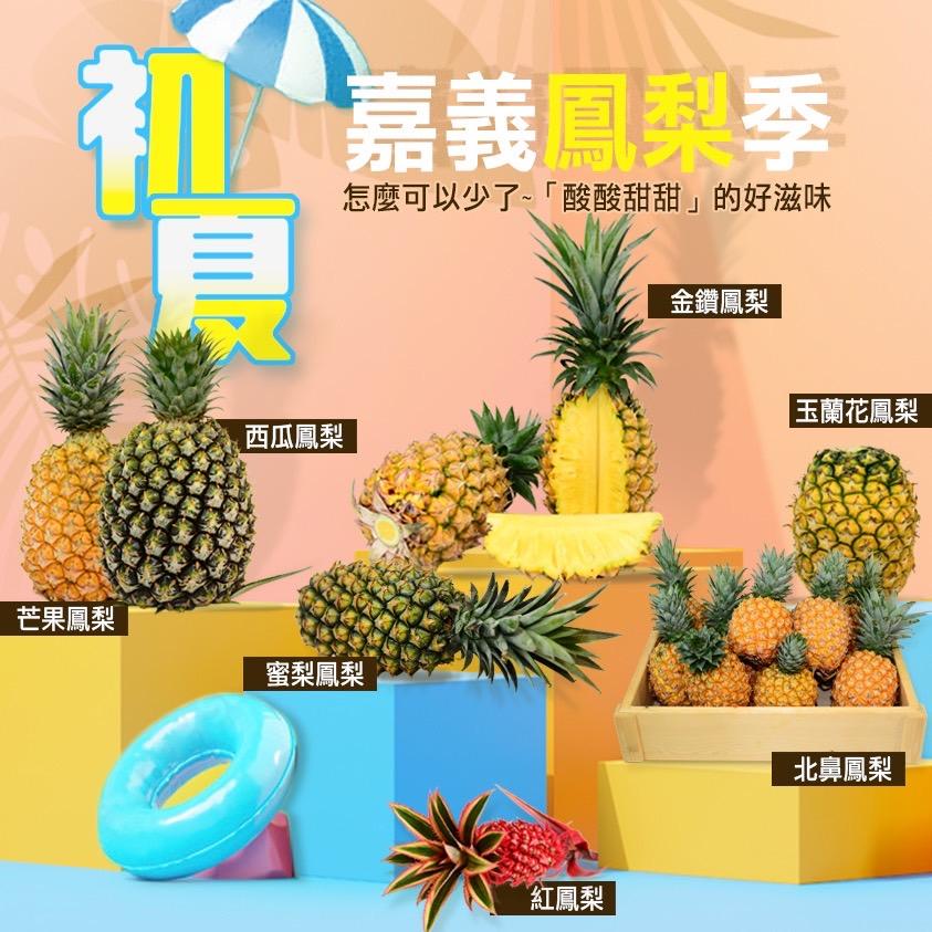 嘉義鳳梨鮮甜好滋味  特色品種陸續上場