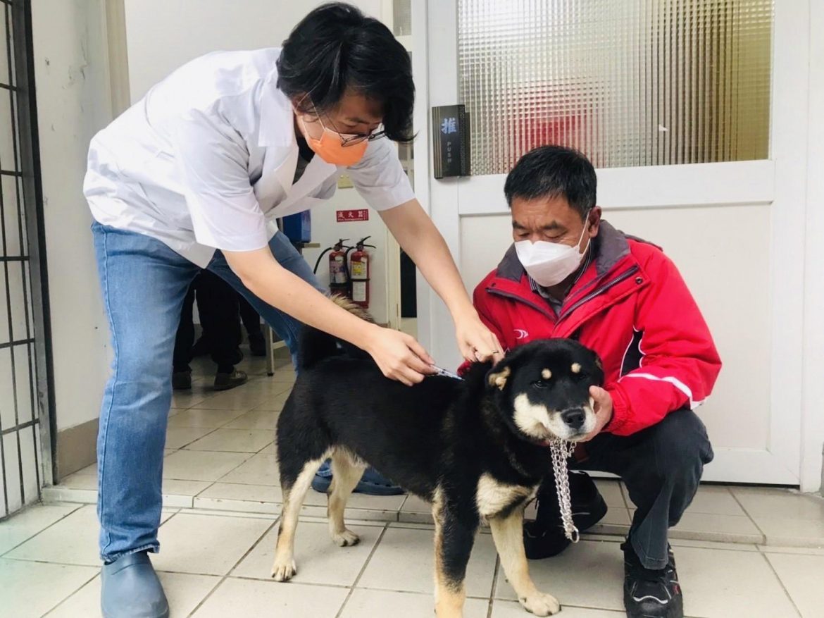 阿里山高風險區  完成狂犬病預防注射