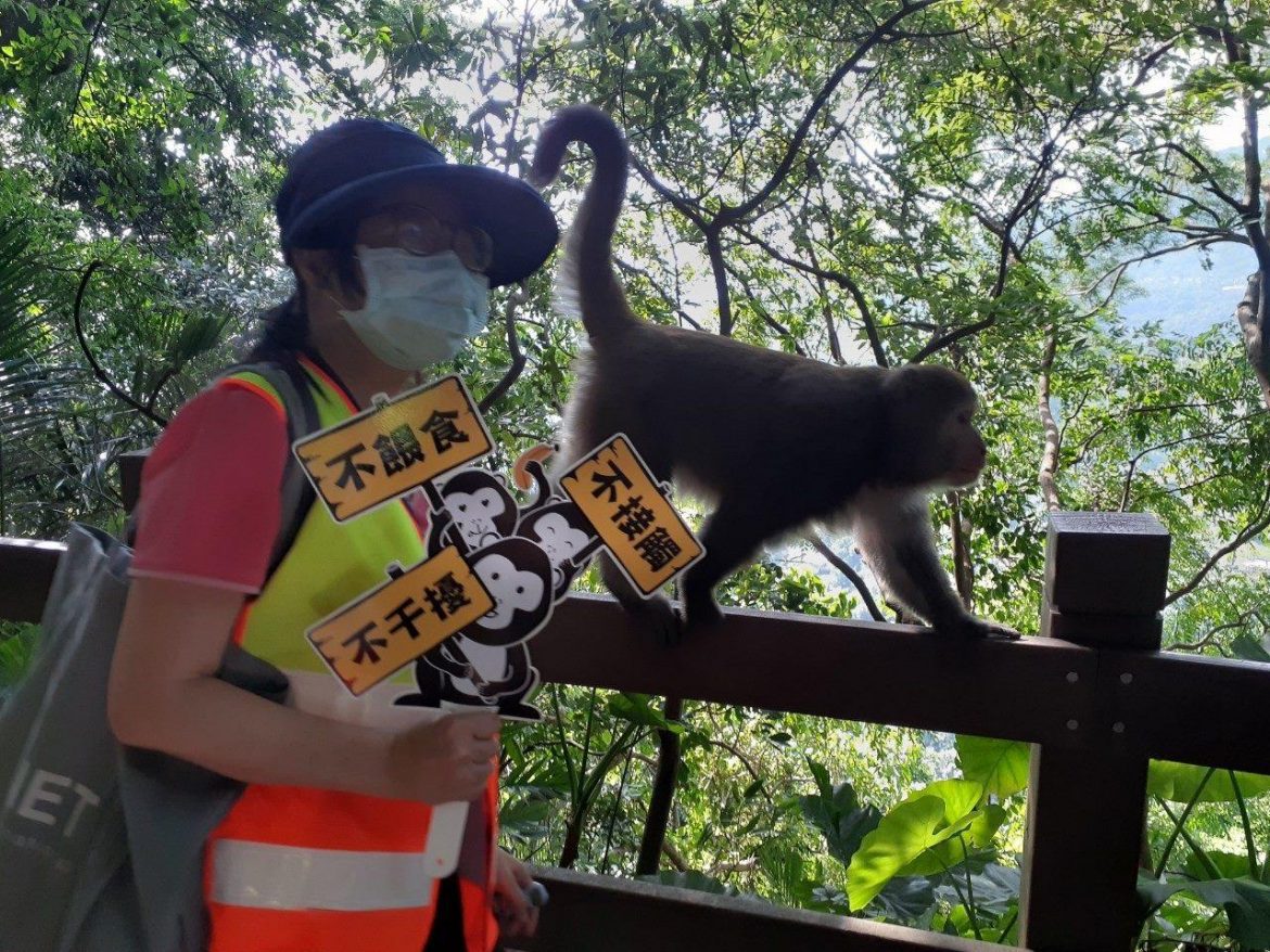 2022臺北動物保護月第2波活動  教育週開跑囉！