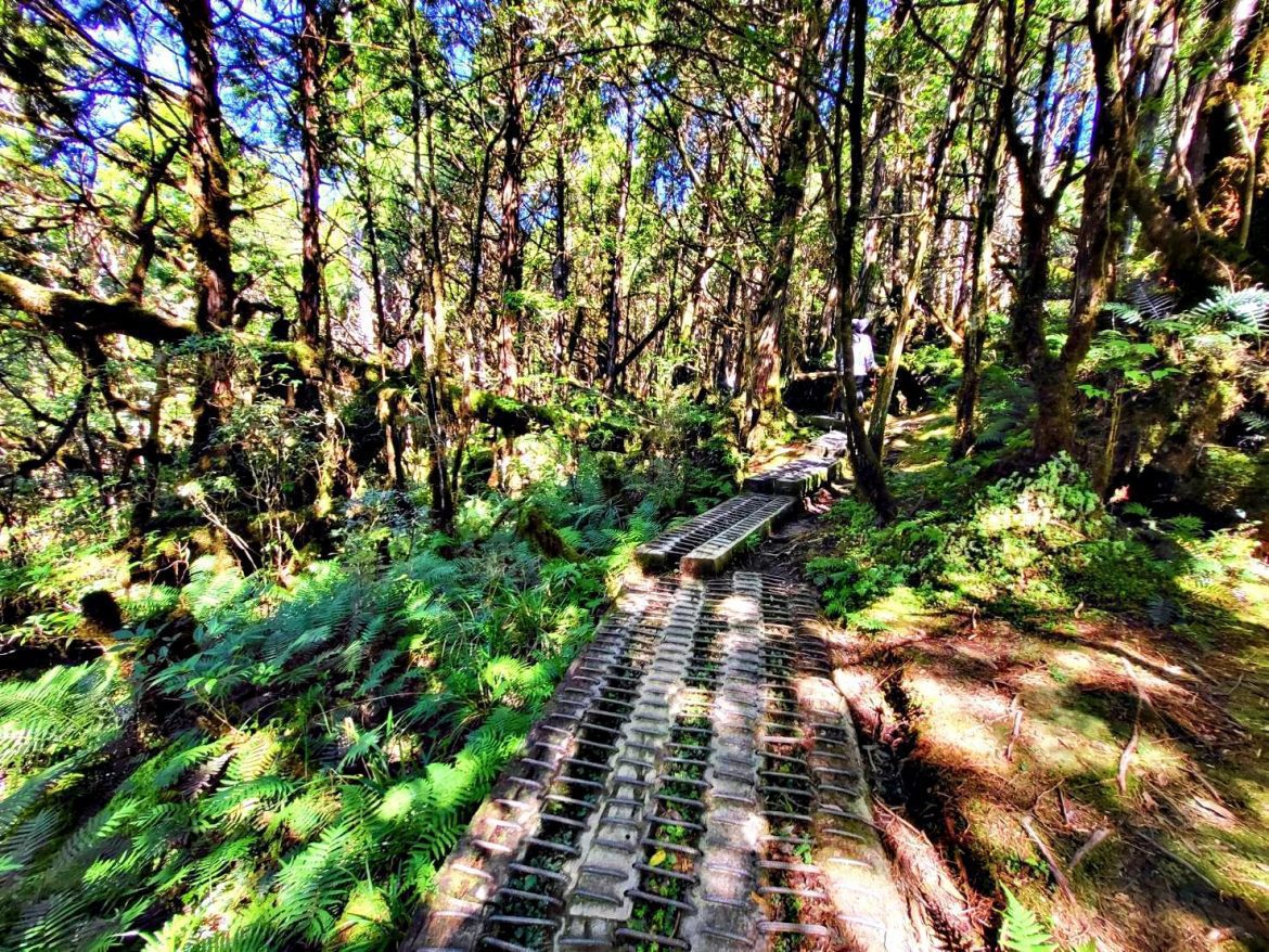 感受寧靜步道靜謐魅力　羅東林管處推翠峰湖步道聲景體驗活動