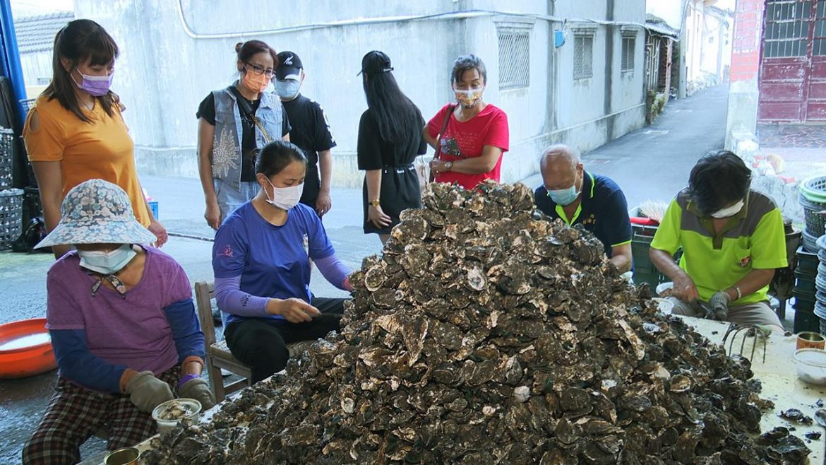 影音/中秋烤肉少不了這一味  王功蚵仔超搶手