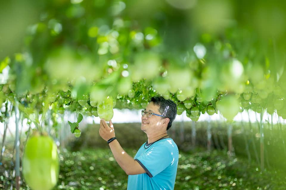 奧丁丁市集攜手在地農友推週年慶活動  小農水果熱銷當道