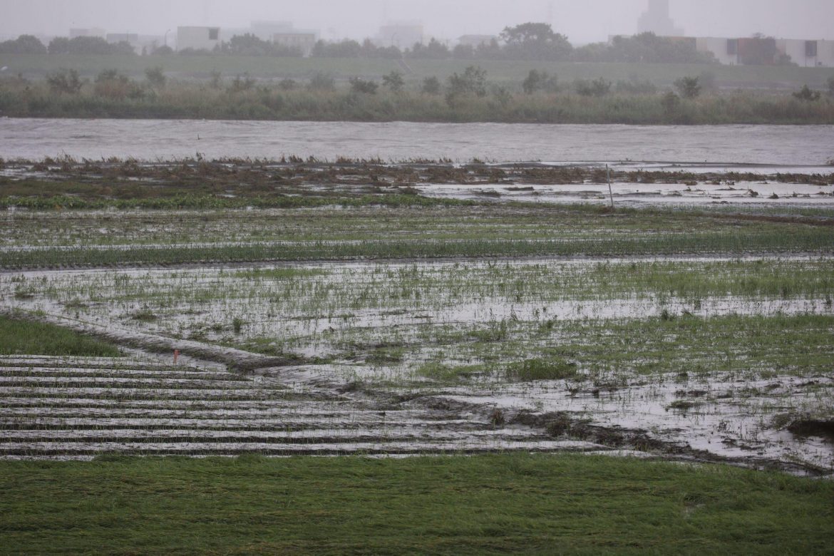 大雨狂炸水淹蘭陽溪高灘地　蔥蒜遭淹損失慘重