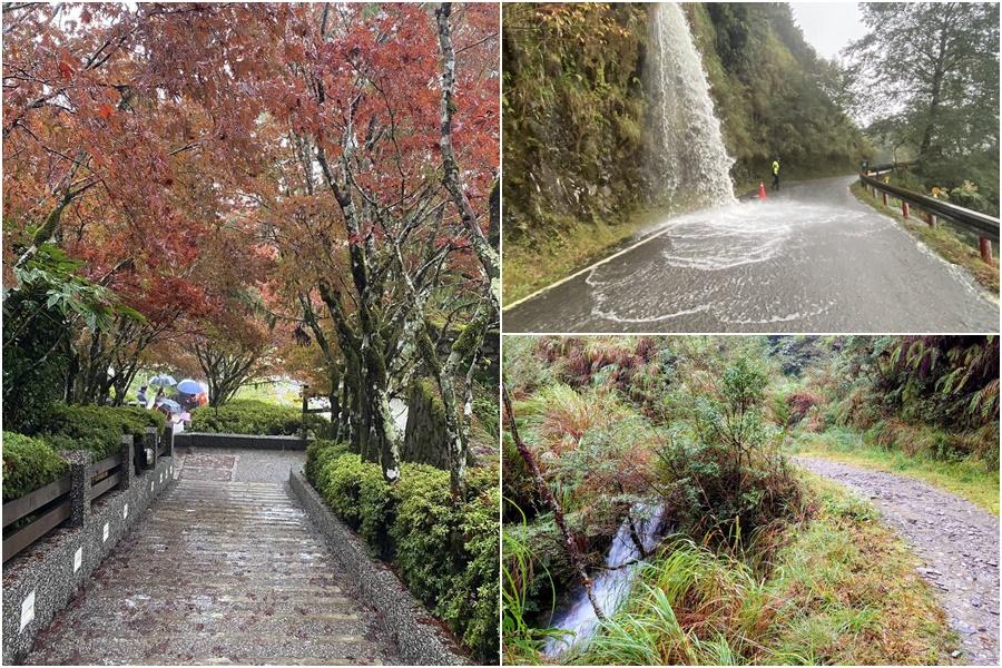 東北季風vs尼莎颱風　太平山10/16起預警性休園