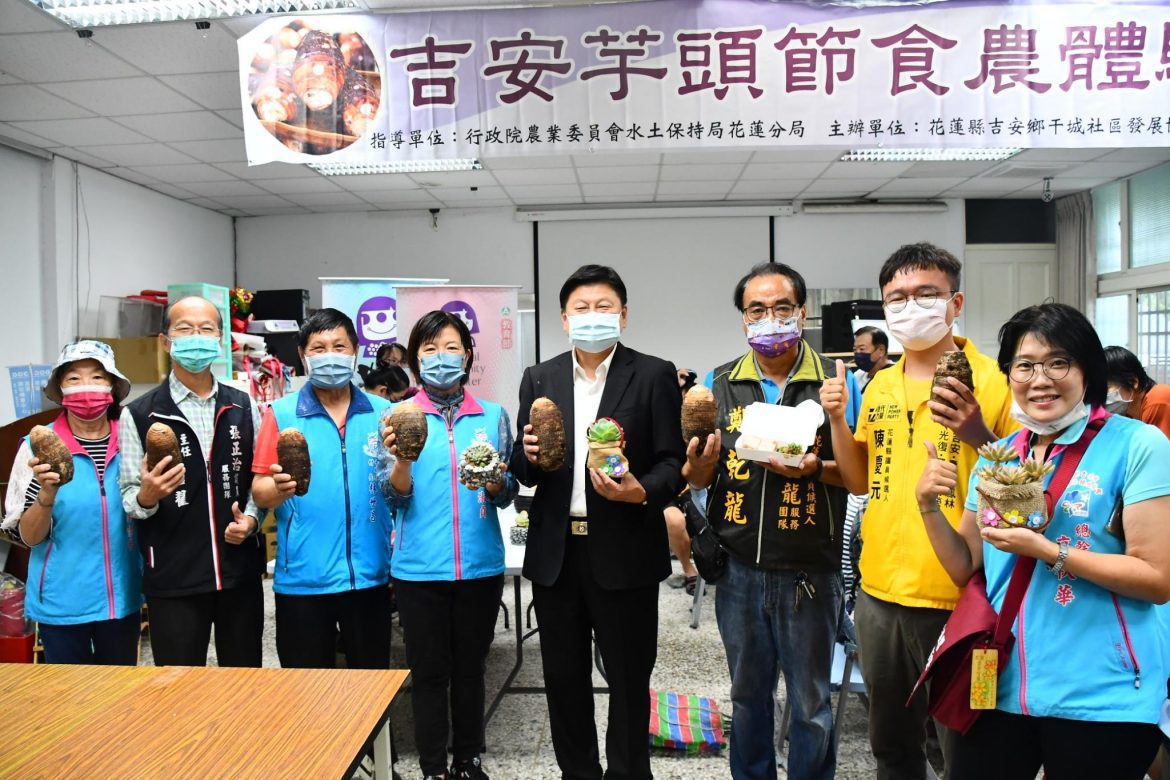 吉安芋頭節食農體驗登場　穿插社區文化走讀親子行