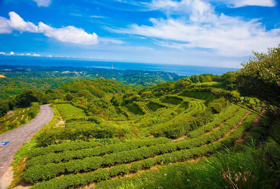 茶山步道周邊茶廠景觀設施改善工程，再造地方榮景