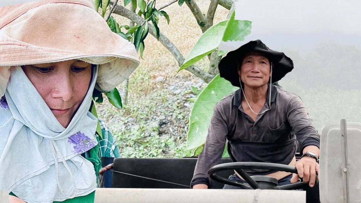 清新香甜的「舞賽」檸檬汁！26歲青農林憶茹棄台北高薪工作 返鄉傳承部落母親的愛