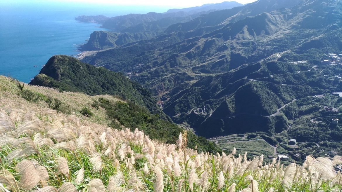 秋芒翻飛仙氣飄 九份山城浪漫行