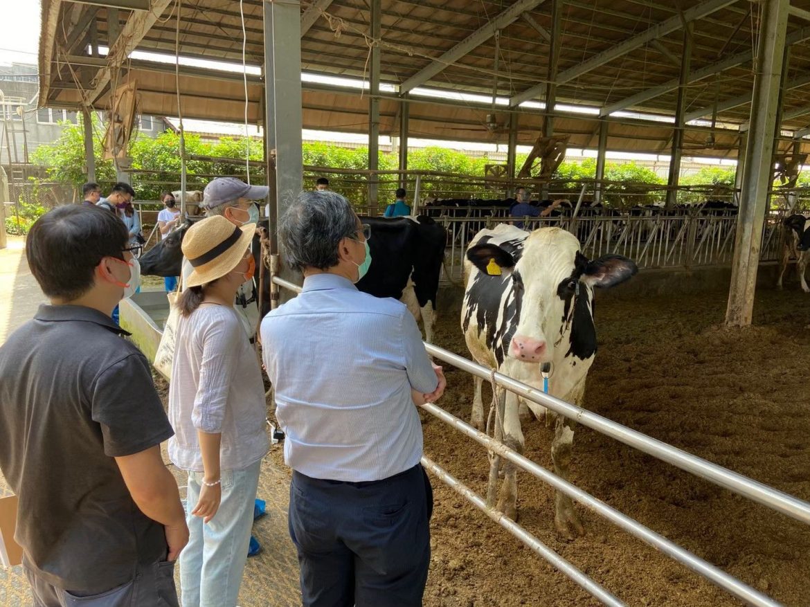 物聯智慧以AI技術聰明養牛　推出智慧酪農解決方案