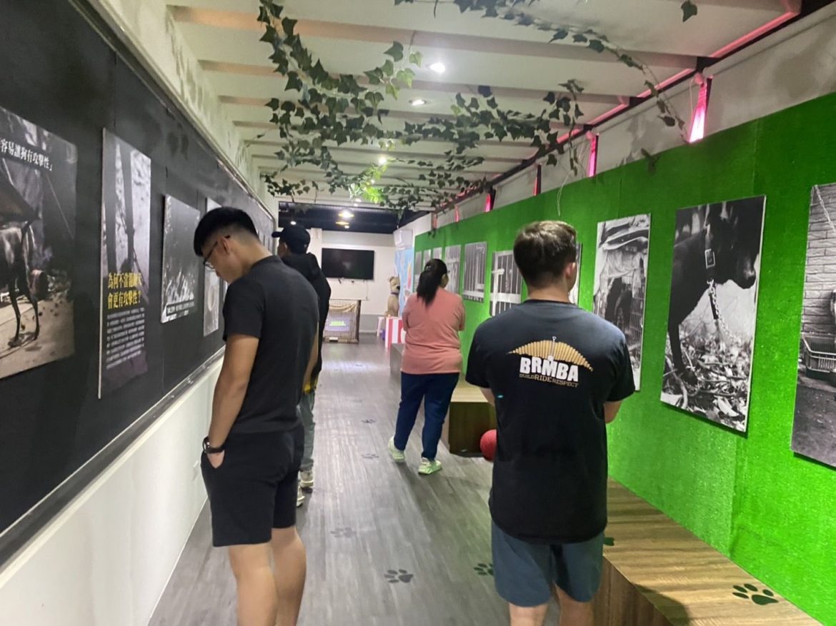 宣導犬隻不關籠  毛寶貝生命教育園區「底枷-抵家」展覽即日展出