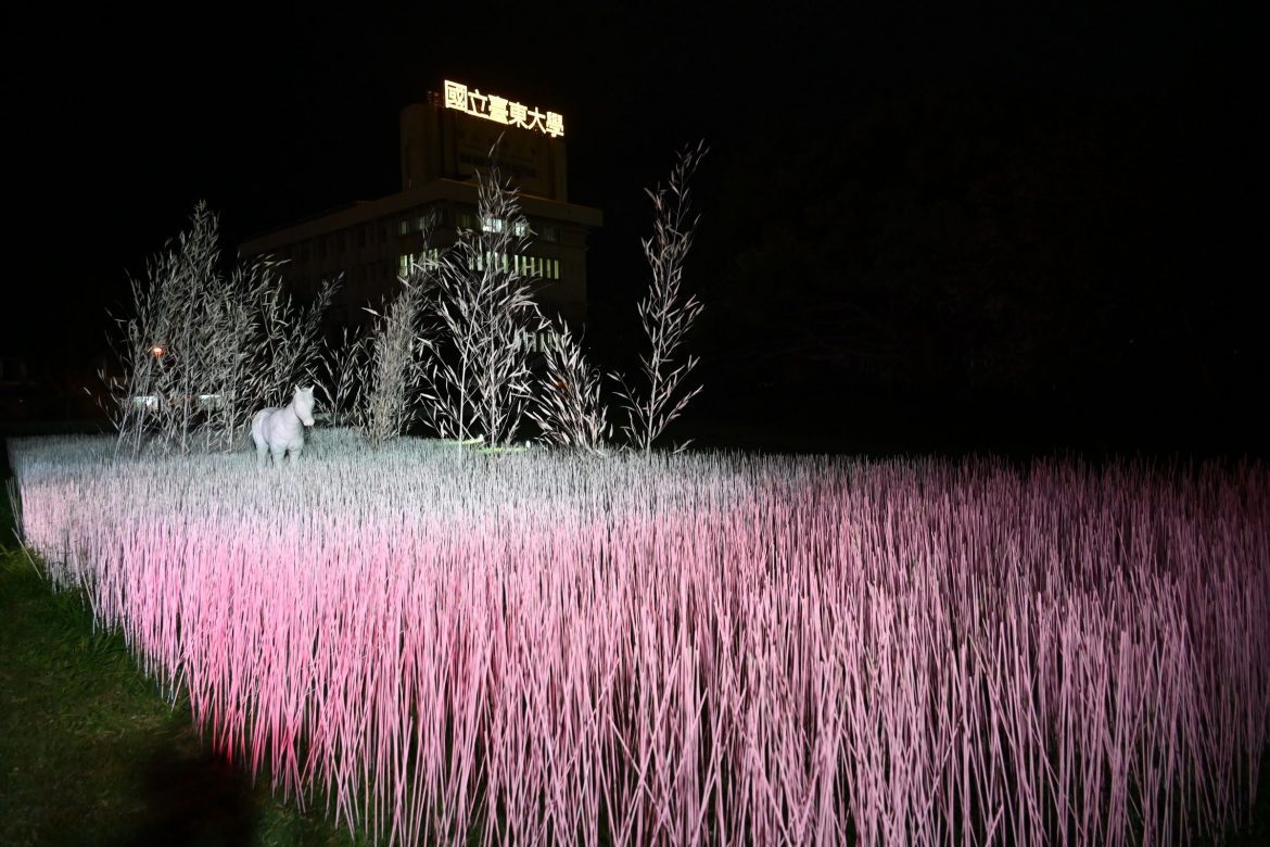 「台東光祭」新作品現身「台東舊站特區」　營造浪漫聲光氛圍