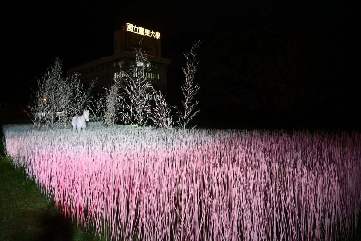 「台東光祭」新作品現身「台東舊站特區」　營造浪漫聲光氛圍