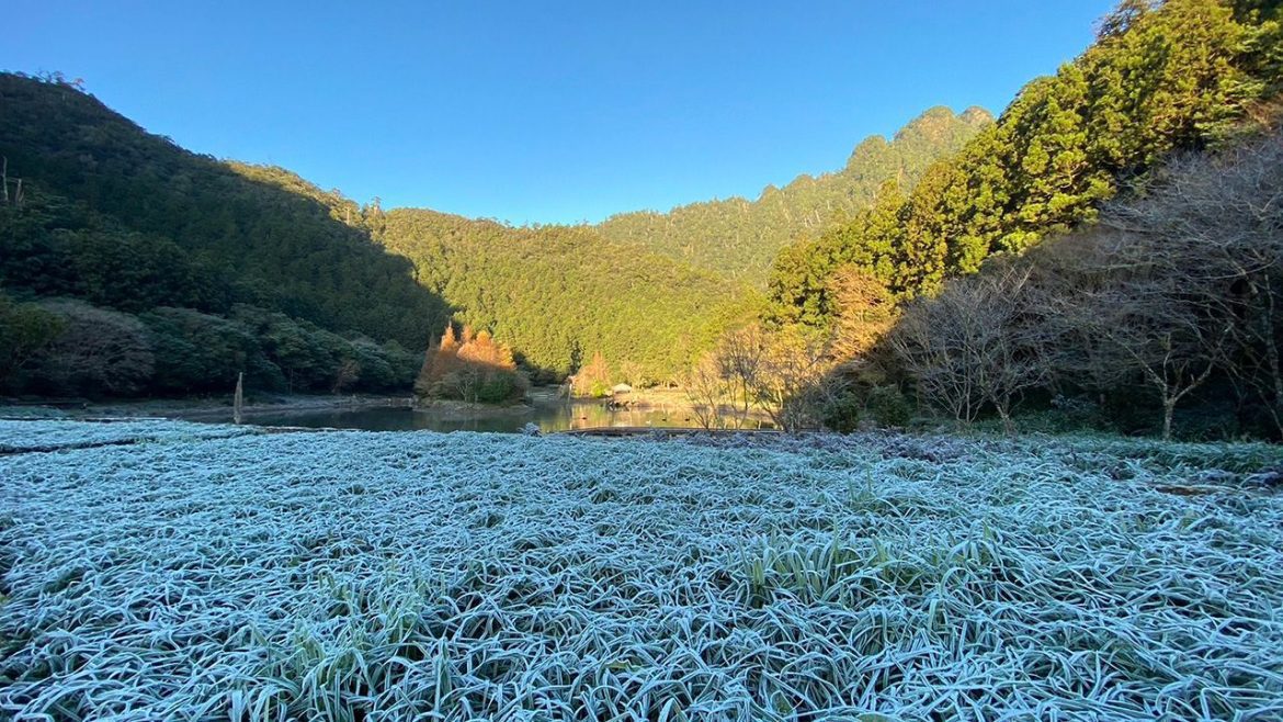 全台低溫特報  明池霧淞美景令人驚艷