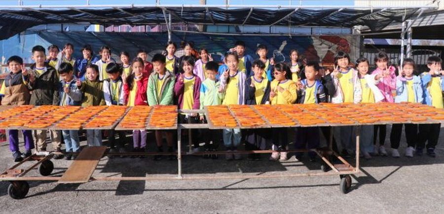 彩虹斑馬團隊小學生菇寮漁港取食材　師生利用山珍海味做醬油