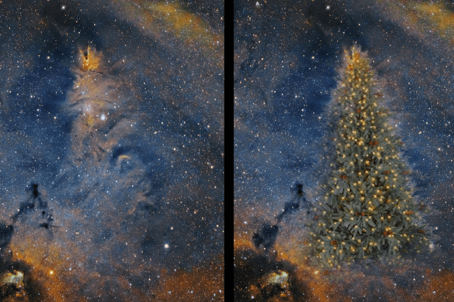 宇宙最大聖誕樹冬夜星空展美姿　來臺北天文館就能看得到