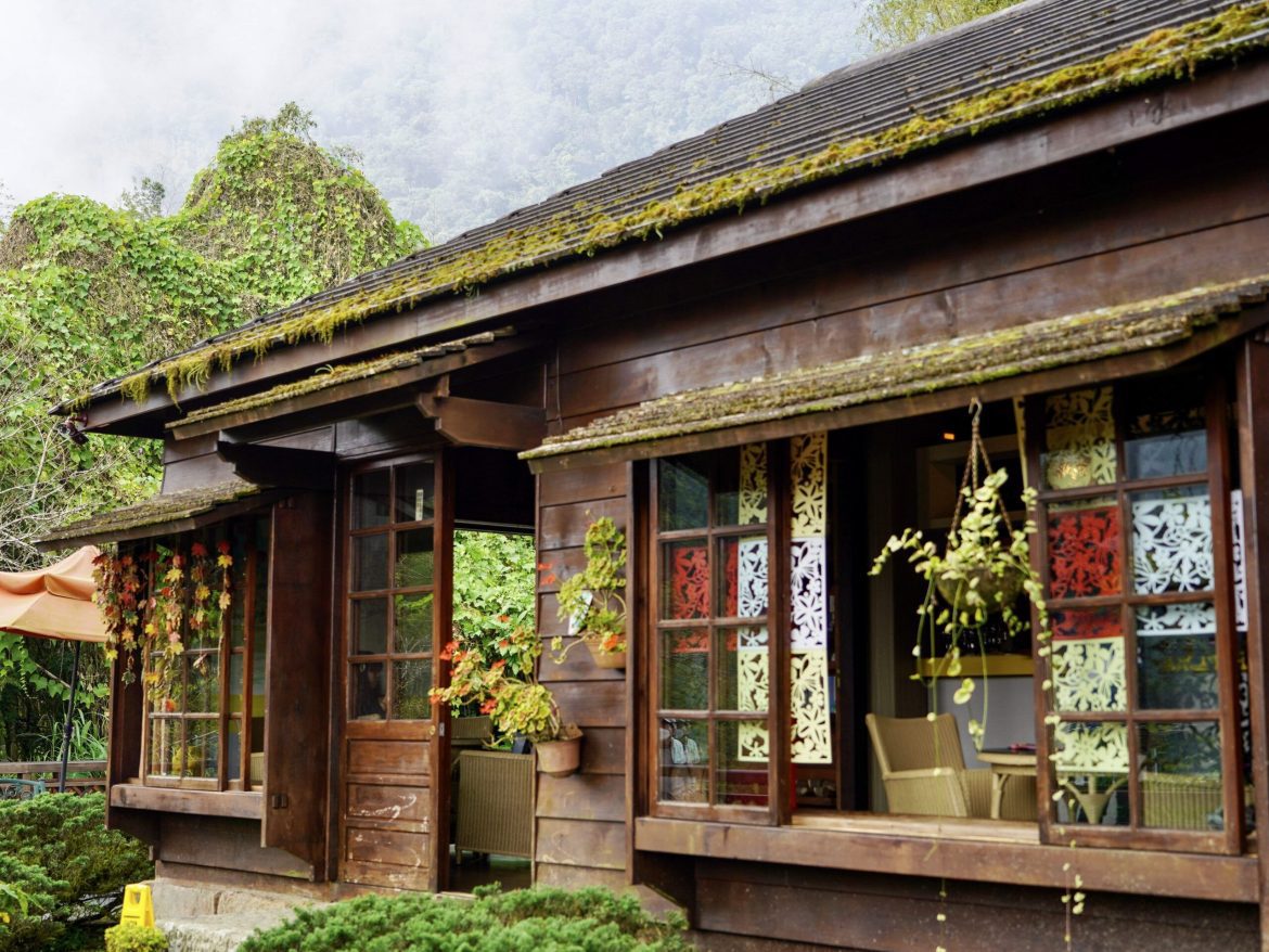 阿里山下最美小鎮　美景美食值得一探