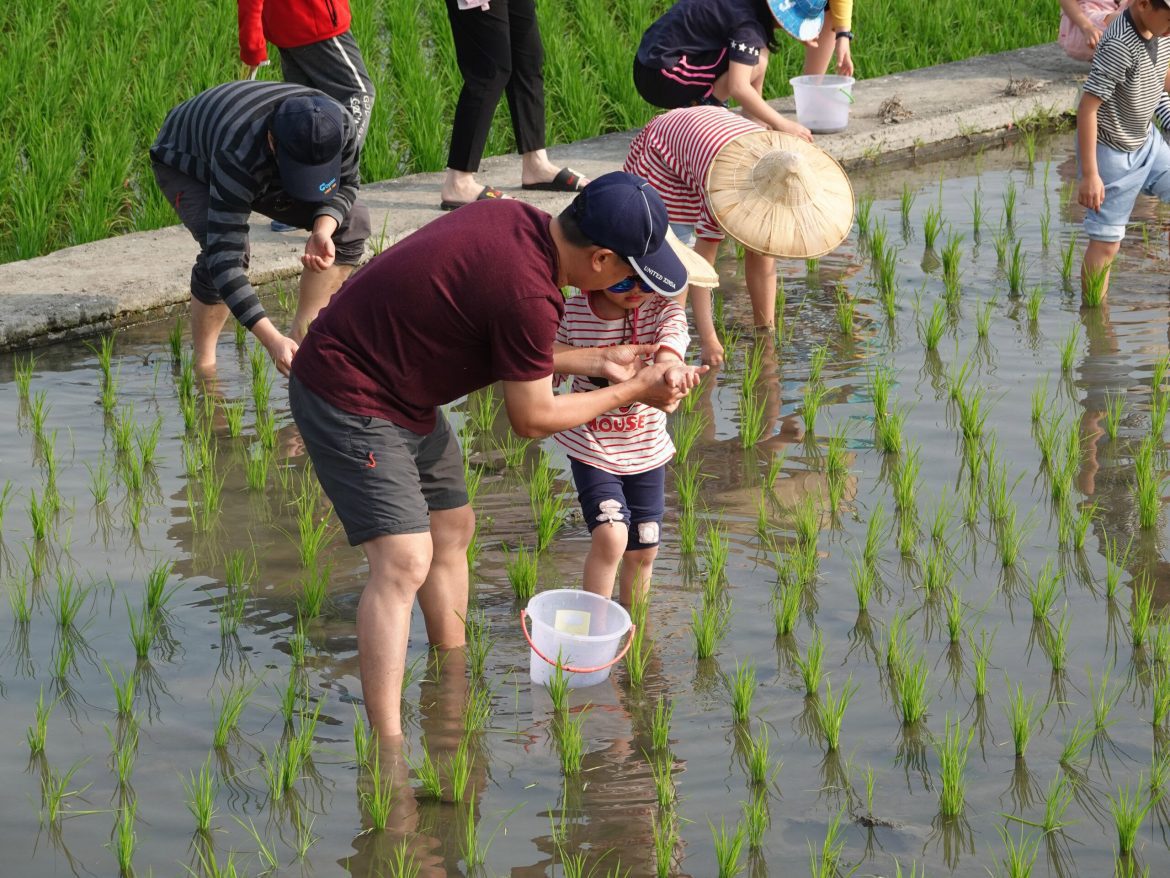 大葉大學推動共創共學計畫　秉持里山精神關注環境永續發展