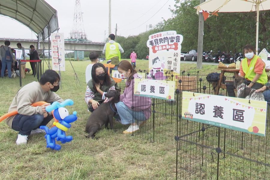 毛寶貝同樂會  現場健檢、植晶片、認養