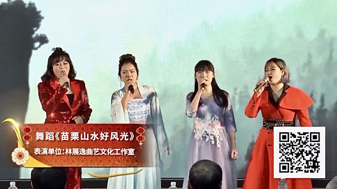 龍岩舉辦“情系祖地 福滿兩岸”龍台客家青少年迎新聯誼晚會