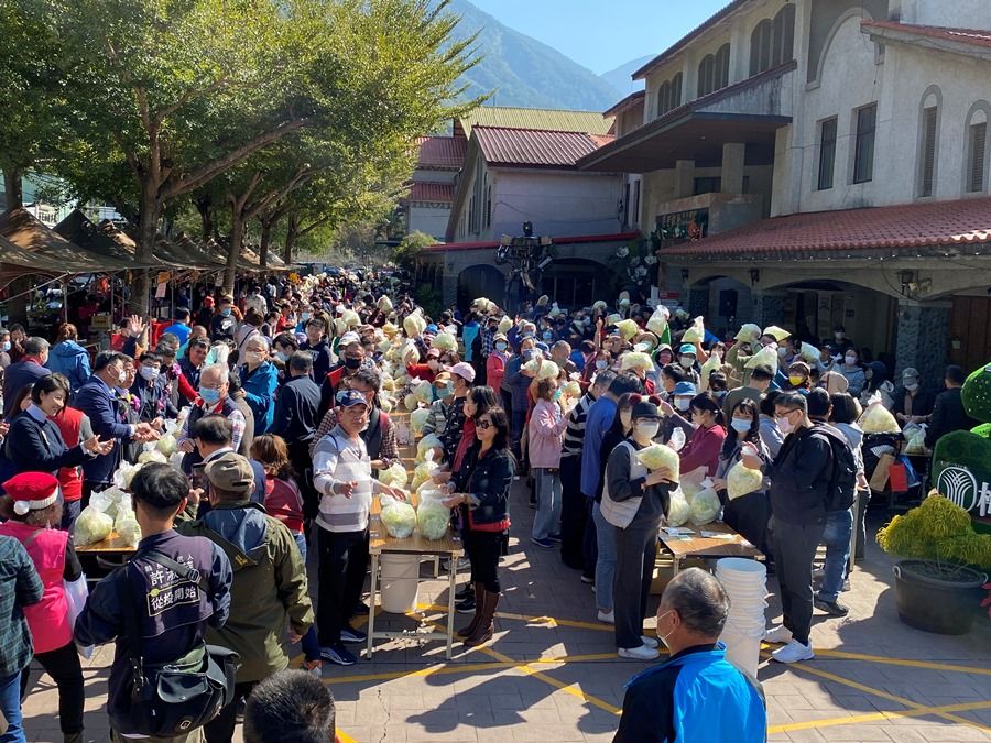 信義鄉踏雪尋梅開鑼啟動　500人一起作泡菜
