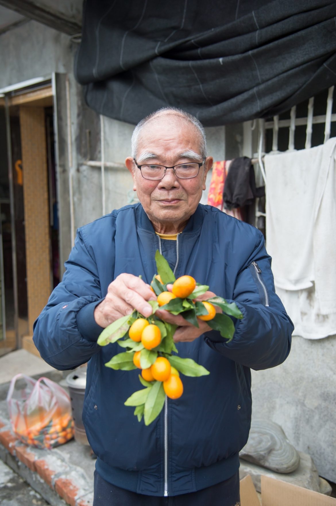 第18屆蘭陽金柑王評鑑　74歲王梓瑋第八度獲冠軍