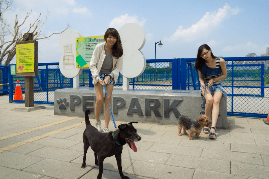 春節大魚大肉與毛寶貝到寵物公園一起維持苗條身材