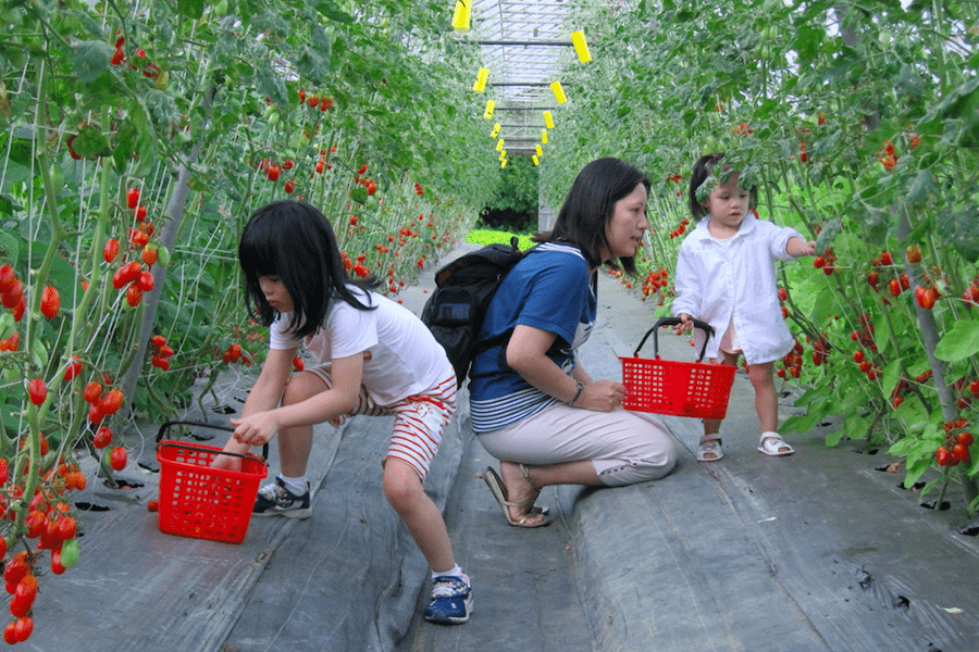 春節走春   臺北市休閒農場歡迎市民朋友闔家農遊